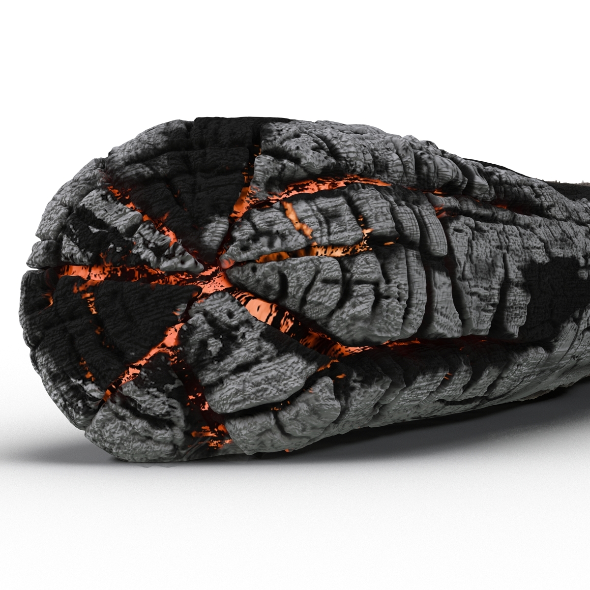 charred log 3d model