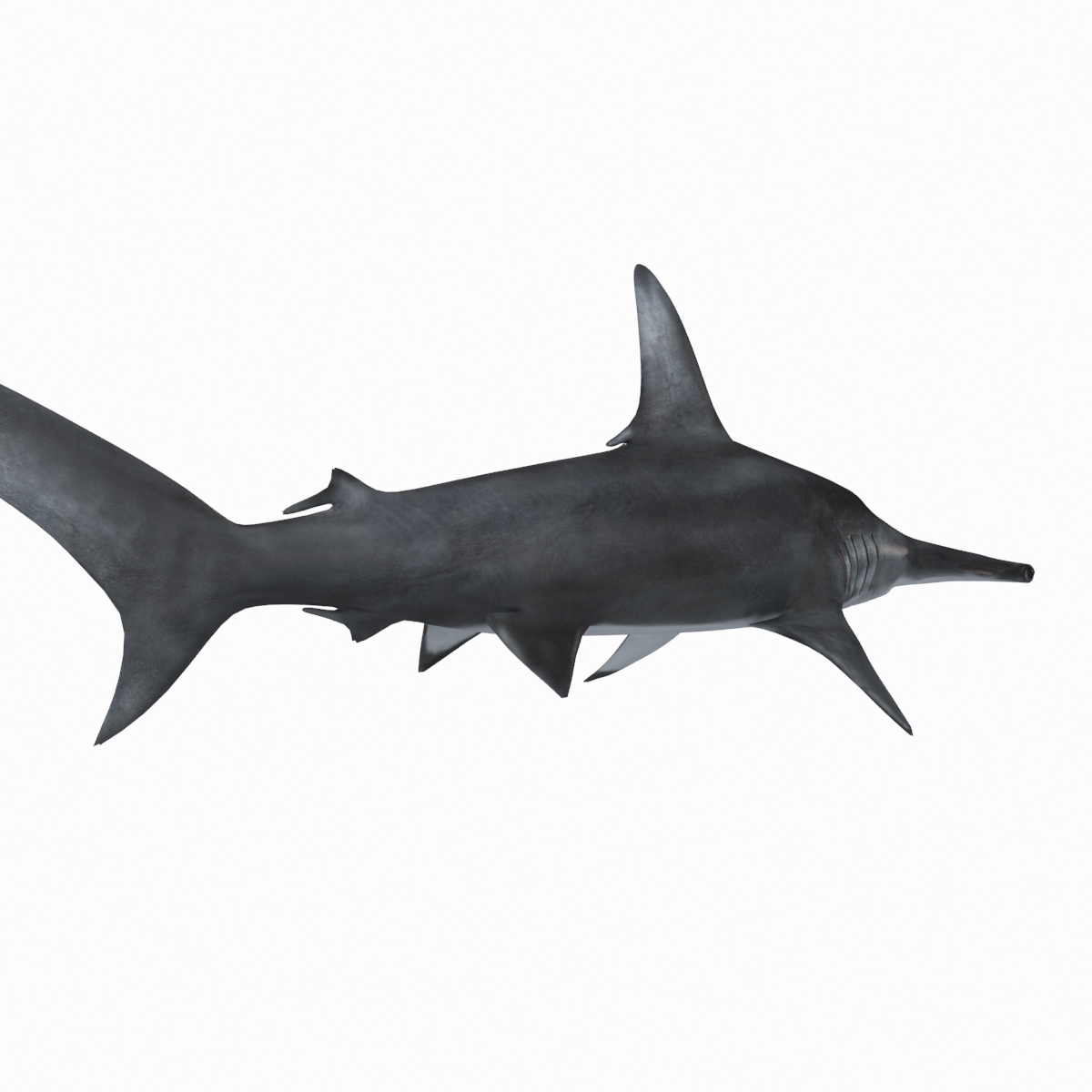 3d model rigged shark hammerhead