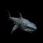 3d model rigged shark hammerhead