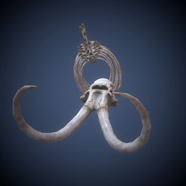 3d Printable Dinosaur Skeleton