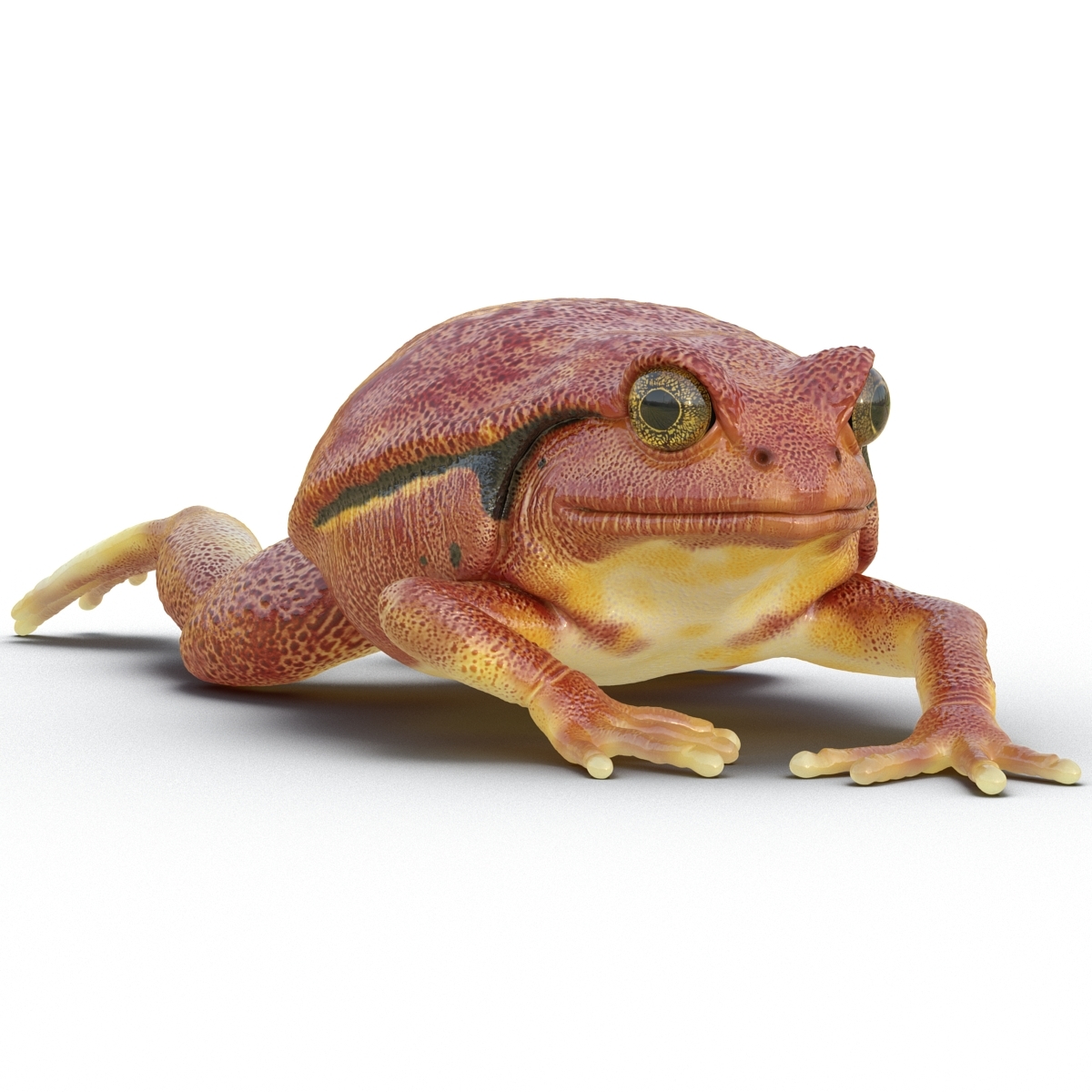 tomato frog pose 3