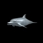 rigged shark hammerhead 3d model