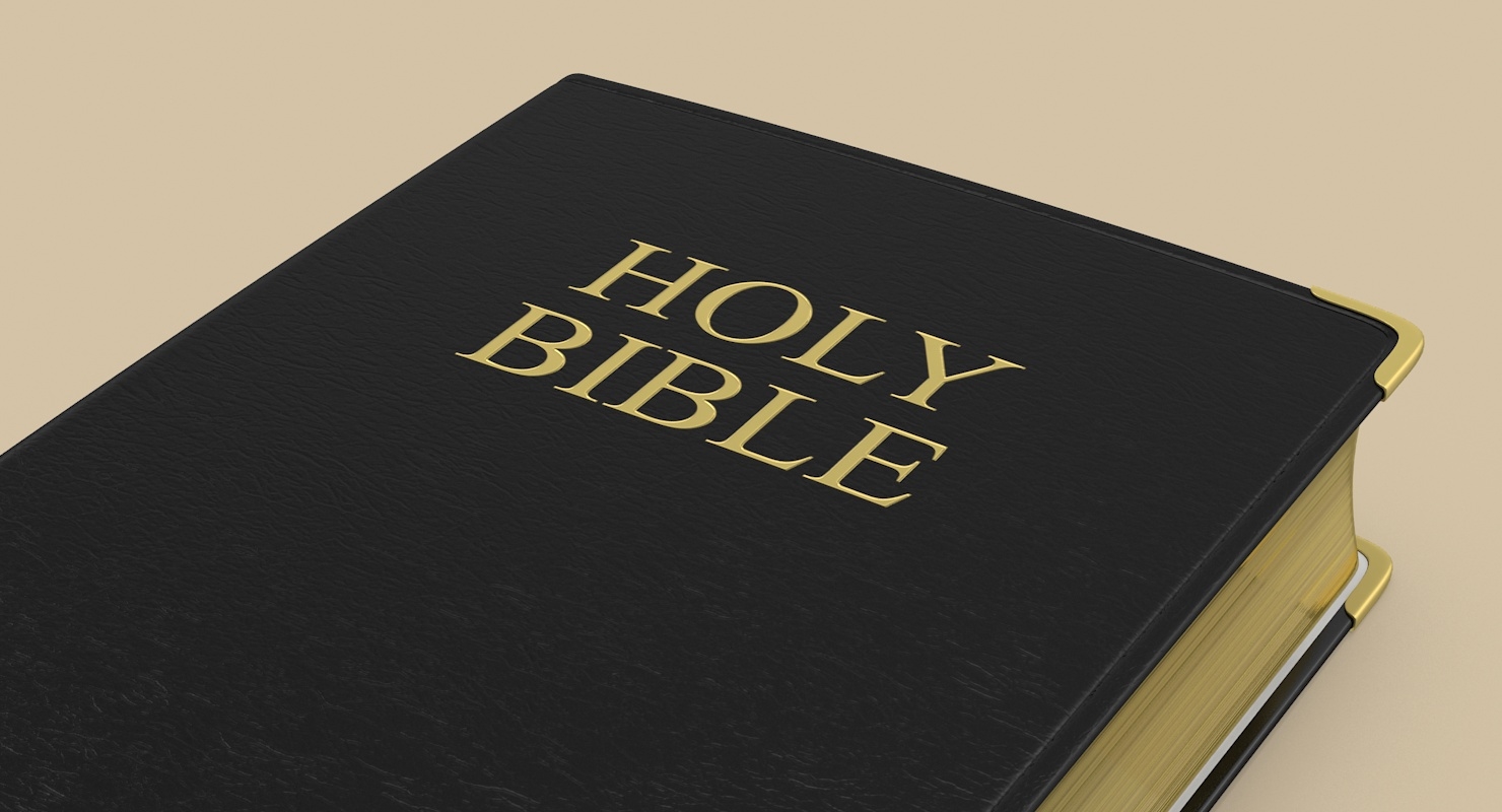 soft cover bible 3d max