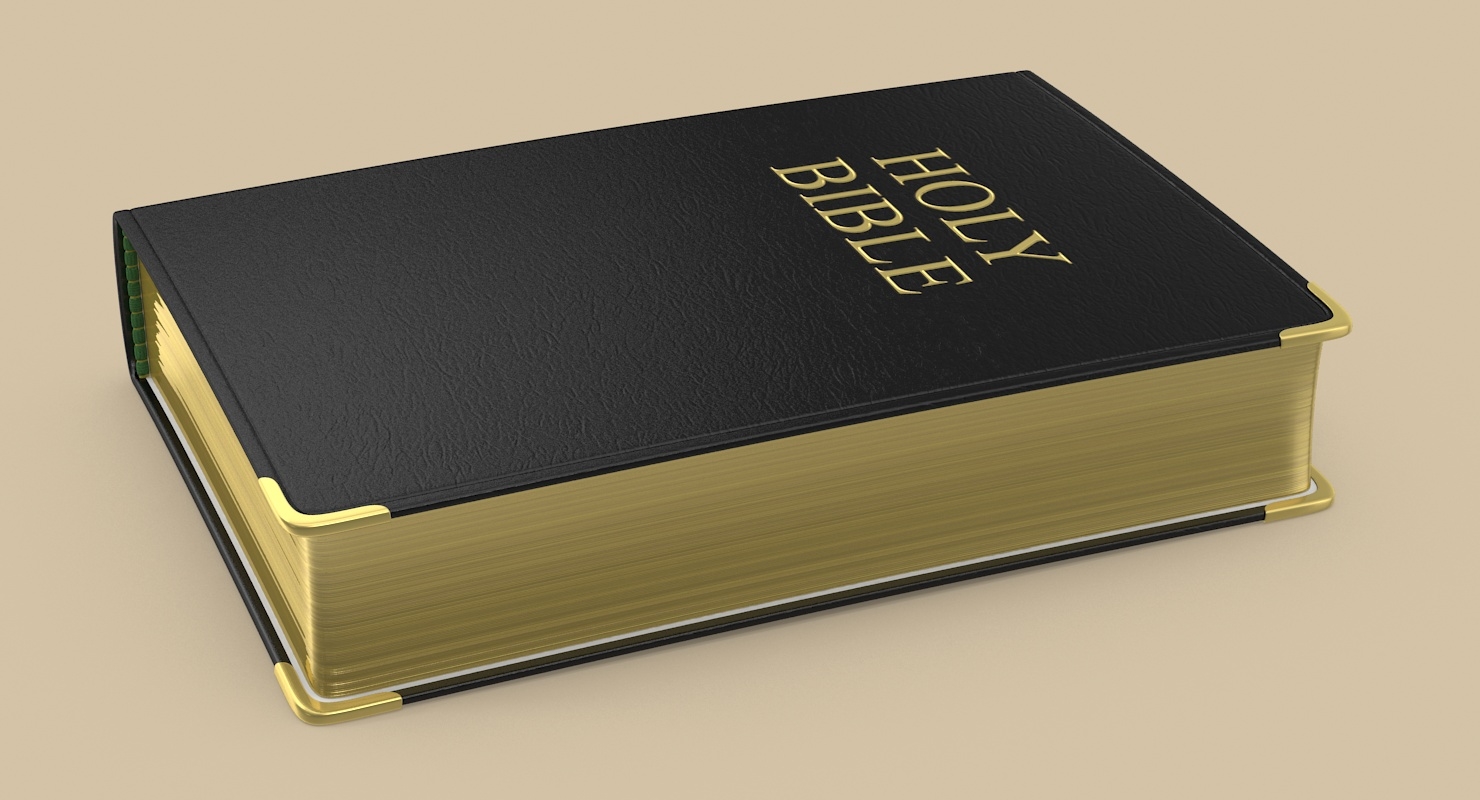 soft cover bible 3d max