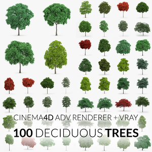 100 trees - 3d model