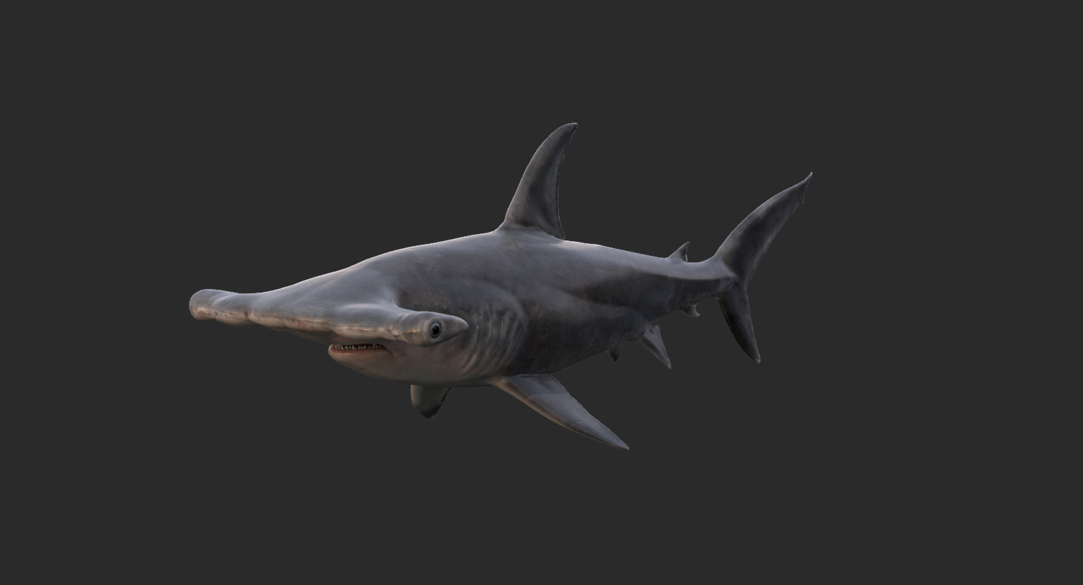 realistic hammerhead shark 3d model