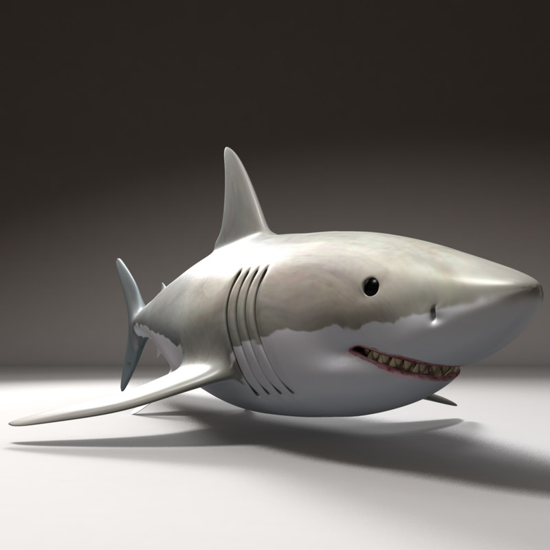 3d shark