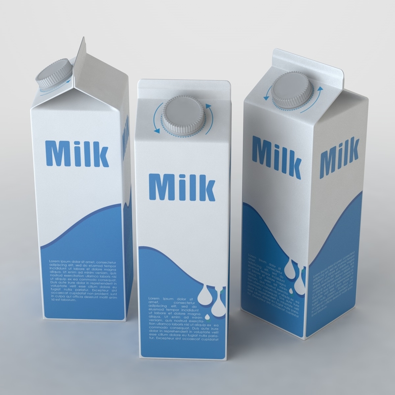 3d milk carton model