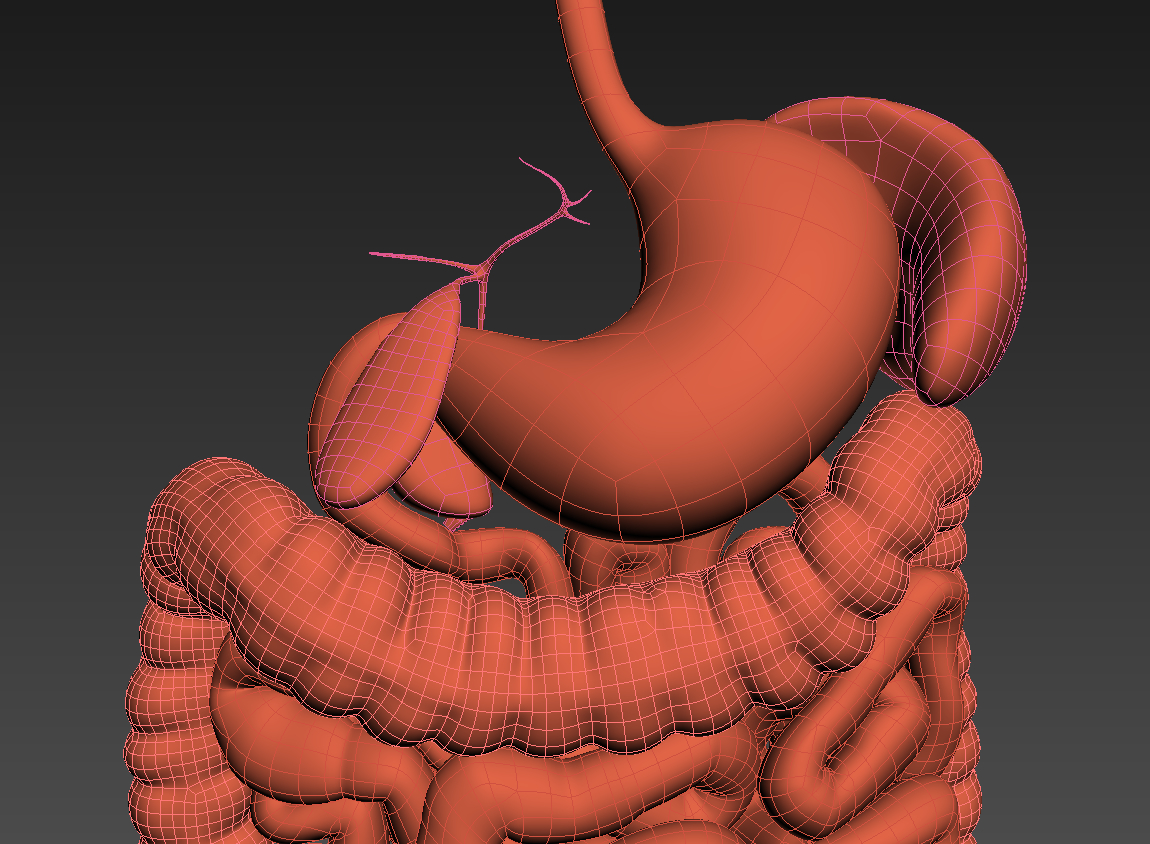 动画3d模型