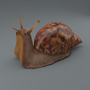 snail 3d obj
