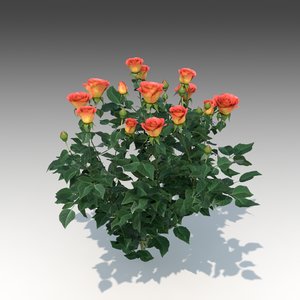 3d flower rose set