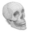 male skull 3d model