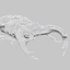 boktor brachycerus ornatus 3d model