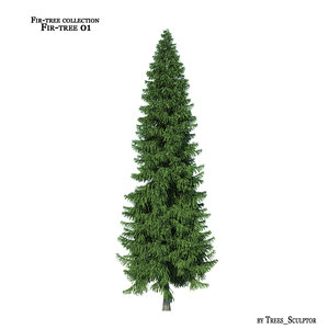 fir-tree tree 3d max