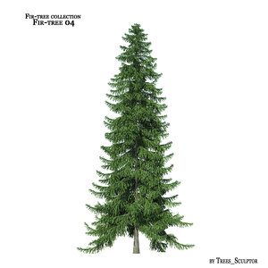 3d model fir-tree tree