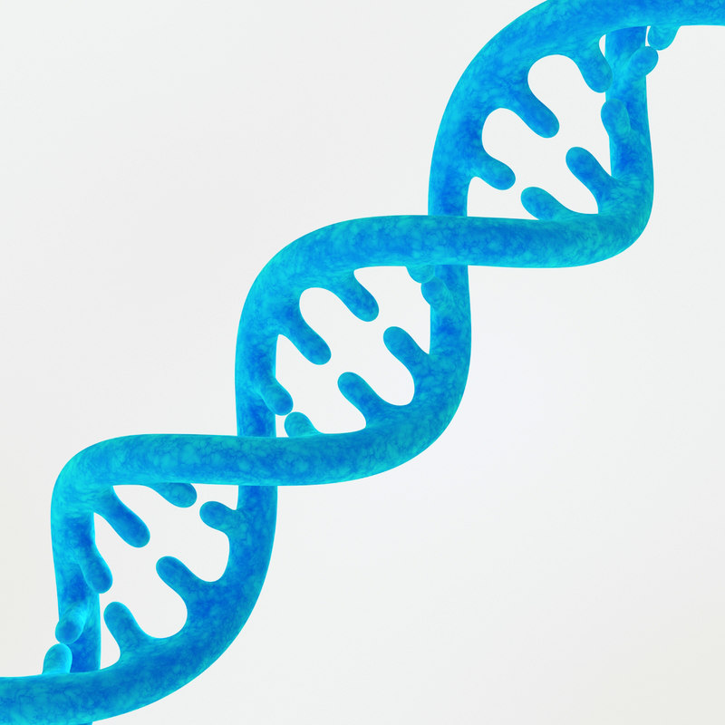 max genome