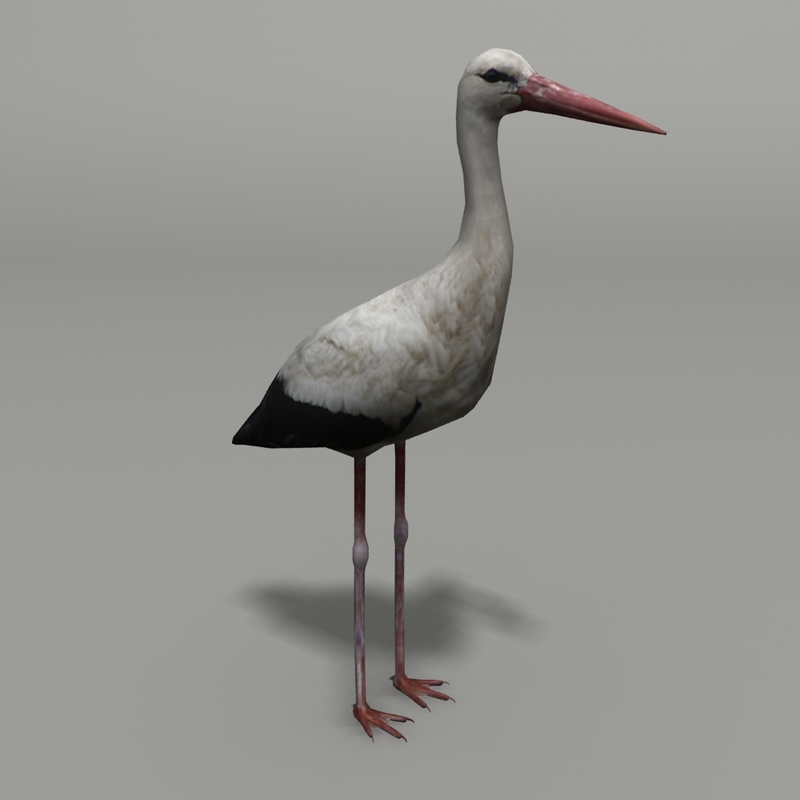 birds 12 3d model