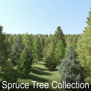 3d model of spruce tree