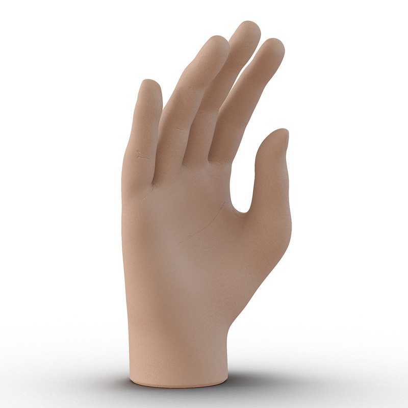 3d model of plastic hand