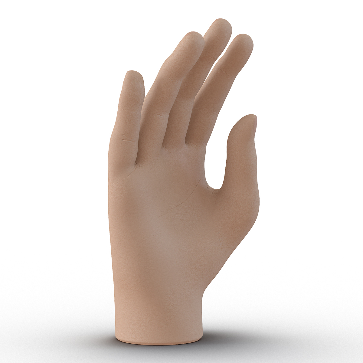 3d model of plastic hand