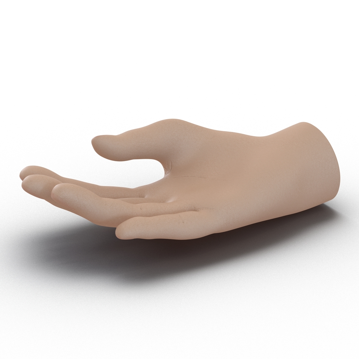 3d model of plastic hand
