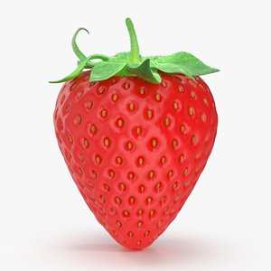 strawberry berry 3d max