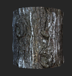trunk