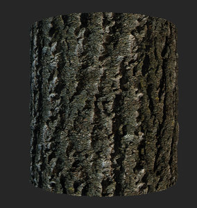 trunk