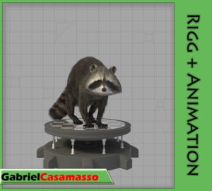 raccoon animation 3d model