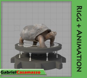 galapagos-tortoise animation 3d fbx