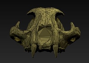 3d cat skull model