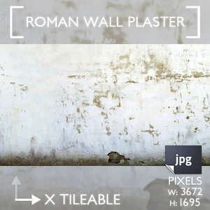 Roman Wall Plaster (damaged)
