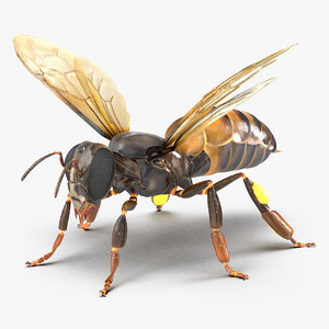 honey bee rigged 3d model