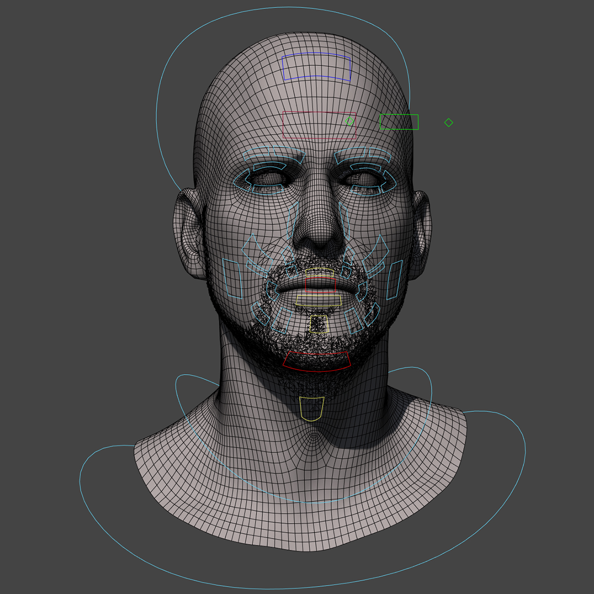 3d Model Of Rig Based Facs