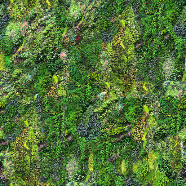 Texture JPEG green wall seamless