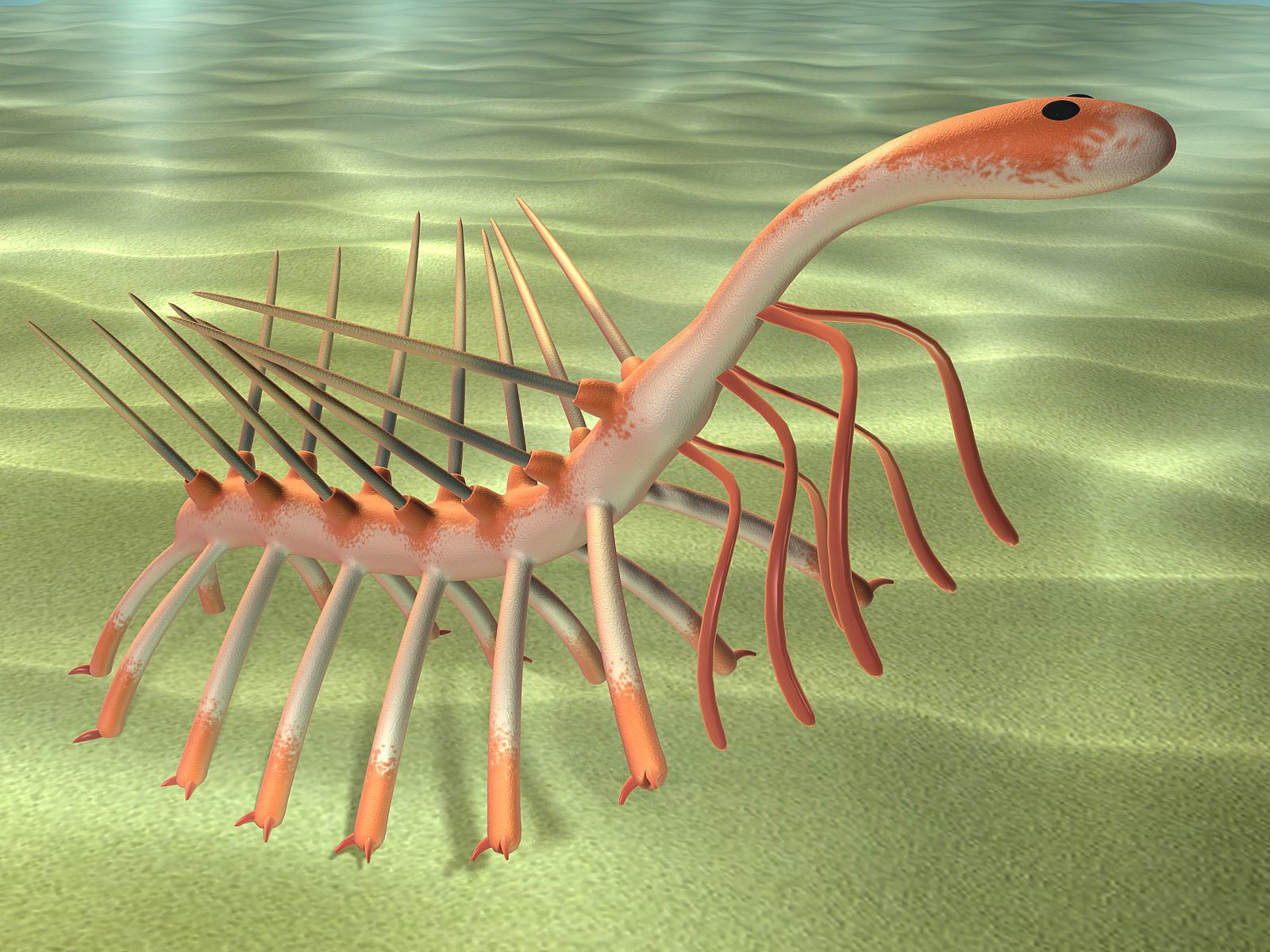 3d model hallucigenia cambrian fossils