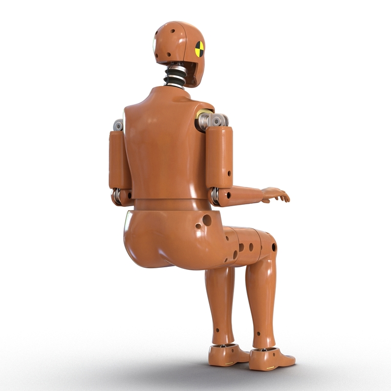 max female crash test dummy