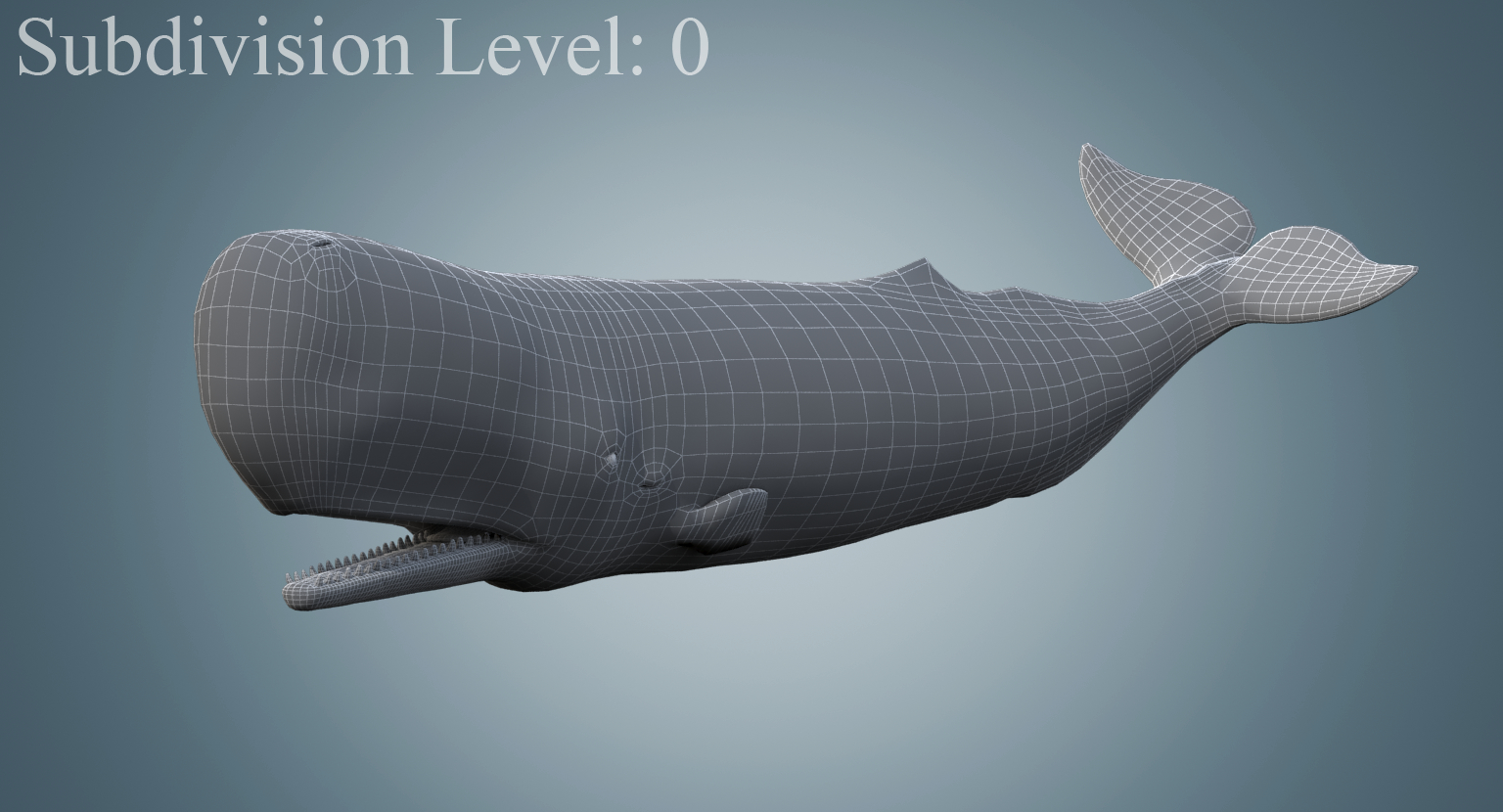 3d sperm whale rigged model