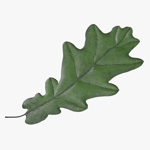 green oak leaf 3d model