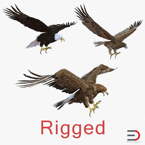 rigged eagles modeled animate max