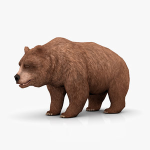 3d model brown bear