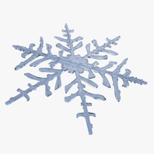 snowflake snow flake 3ds