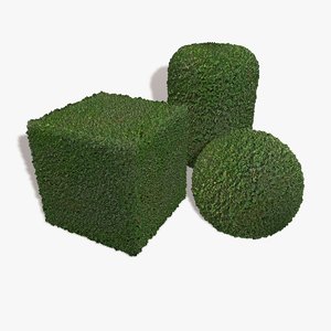 Maze Hedge Seamless Texture