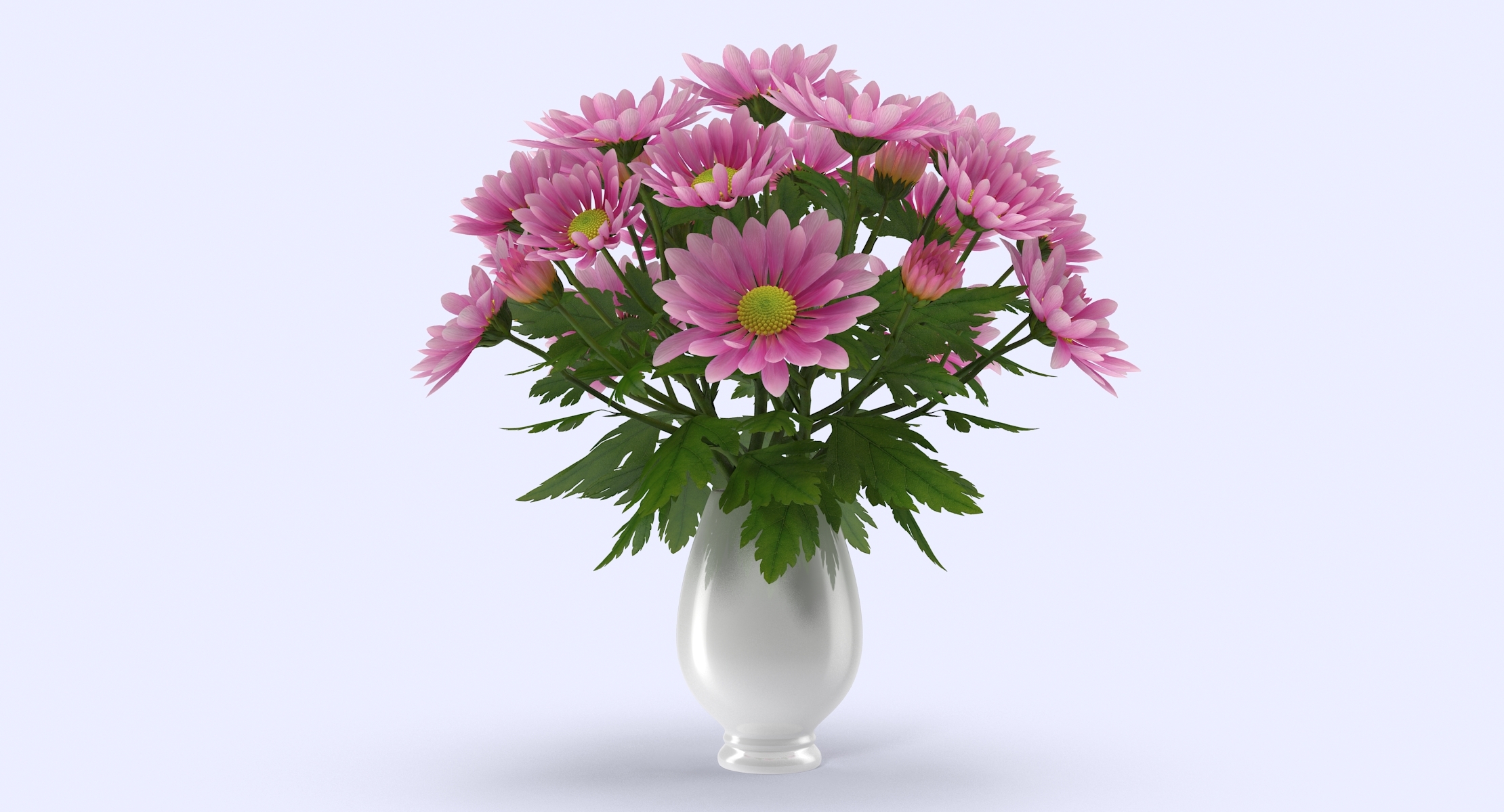 粉红色的菊花在花瓶里3d模型