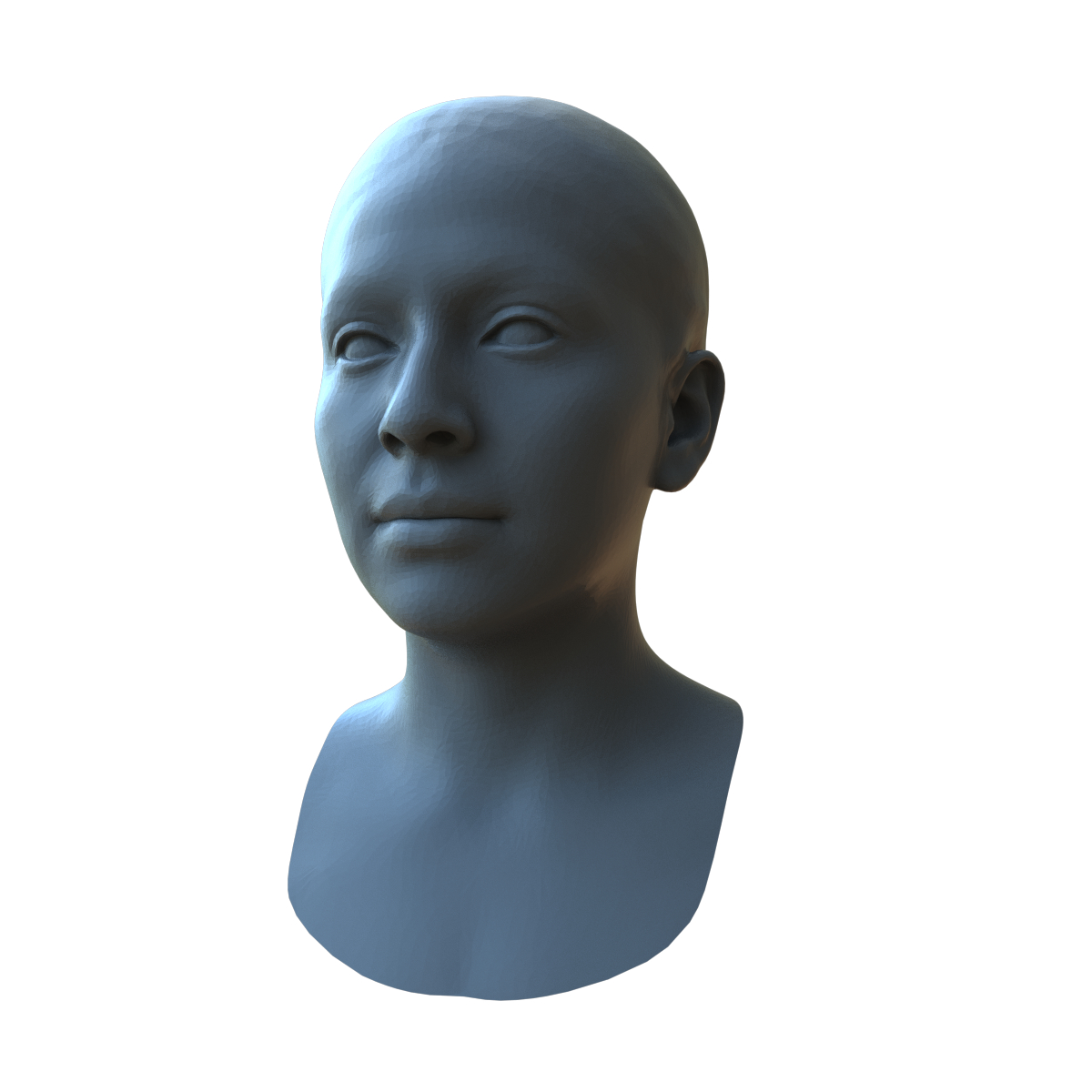 现实的人脸由种族3d模型