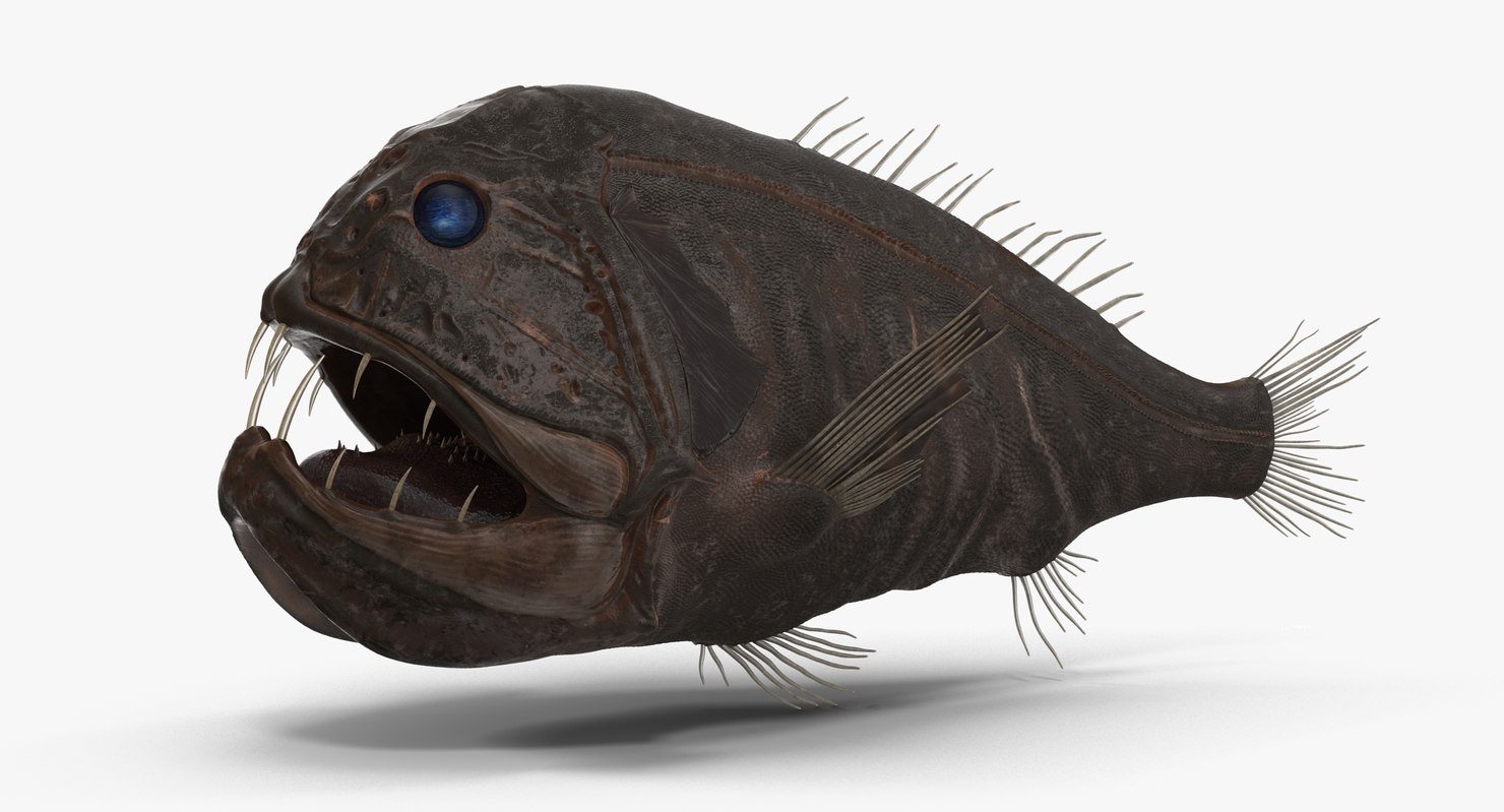 fangtooth fish dark 3d obj