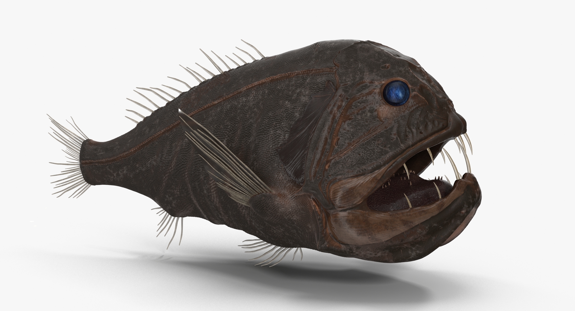 fangtooth fish dark 3d obj