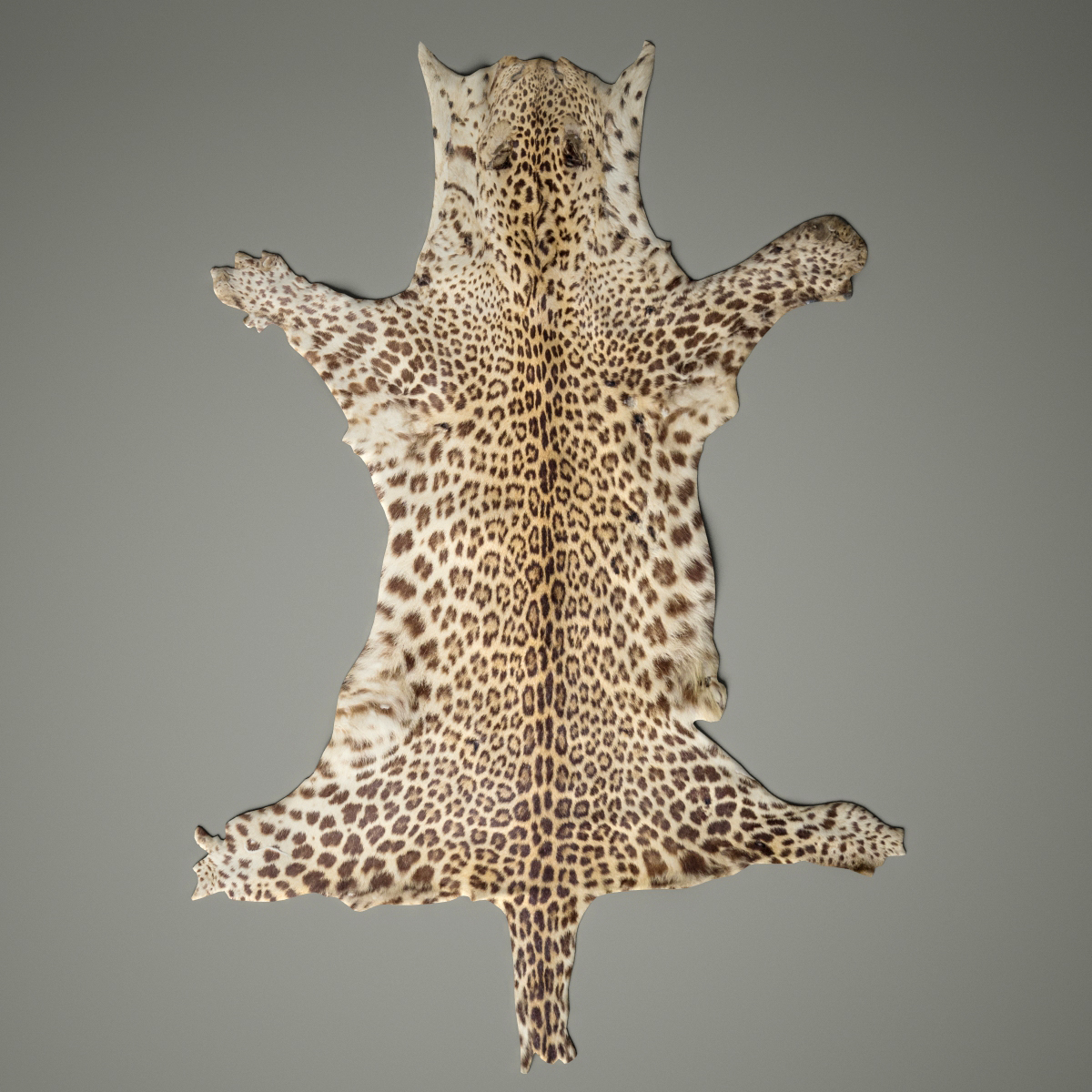 Static Turbosquid Com Preview 2016 02 23 14 05