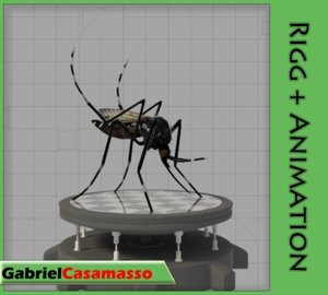 3d aedes aegypti