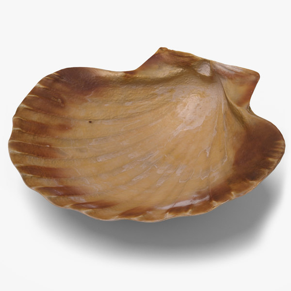 Get In Shape And Remain Wholesome By Using These Recommendations!